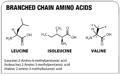 BCAAs for Greater Wrestling Performance